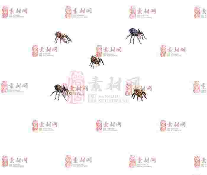 免费怪物素材0405C：74-1