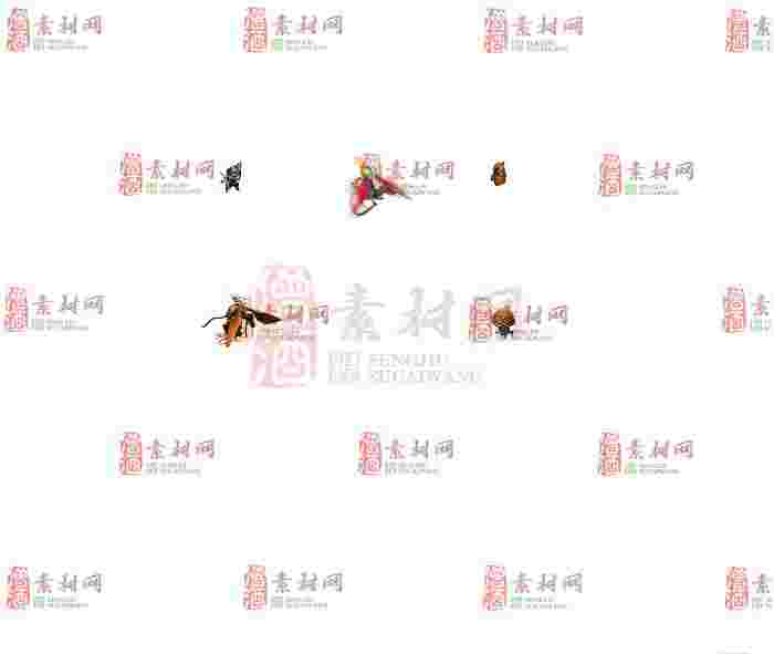 免费怪物素材0406A：51-1