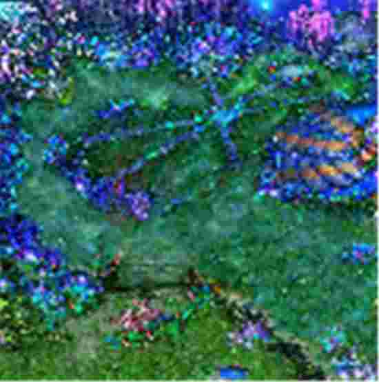免费地图素材0418A：46-1