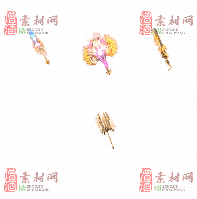 免费特效法宝素材20240607B：14-2