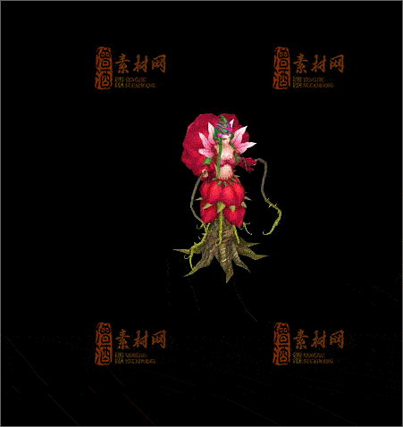 免费传奇NPC素材20241210A：58-1