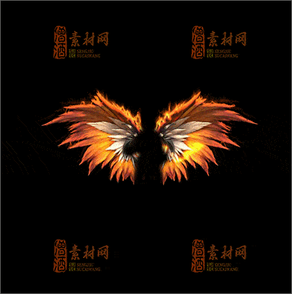精品传奇翅膀素材20250111A：11-1