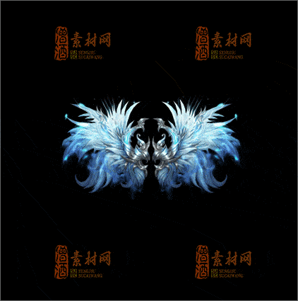 精品传奇翅膀素材20250111A：28-1