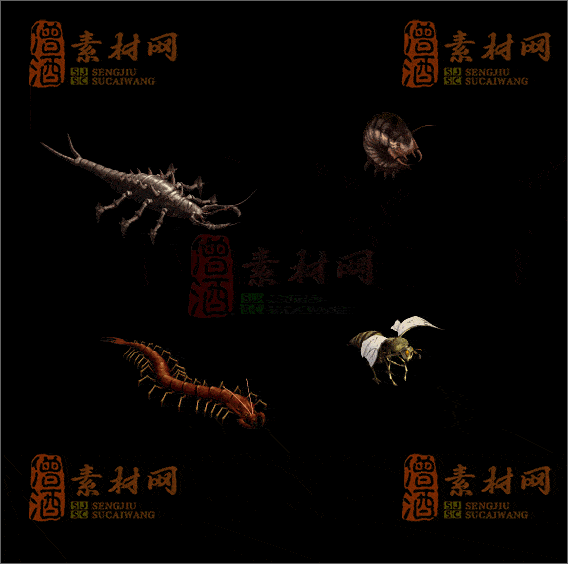 精品传奇怪物素材20250118A：24-1