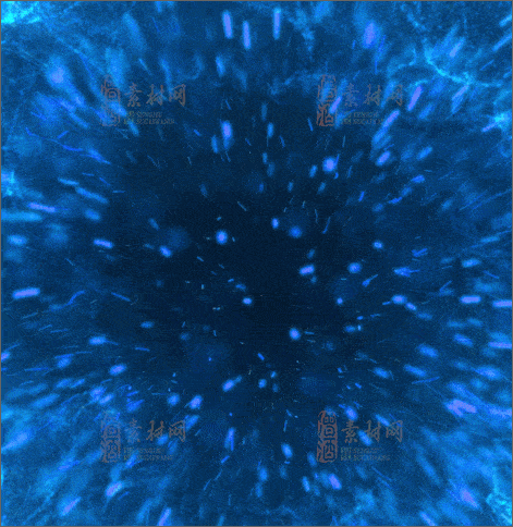 技能特效素材20250612A：14-1