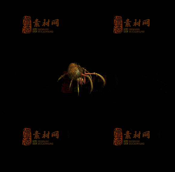 精品传奇一体时装系列素材20251007A：239-1