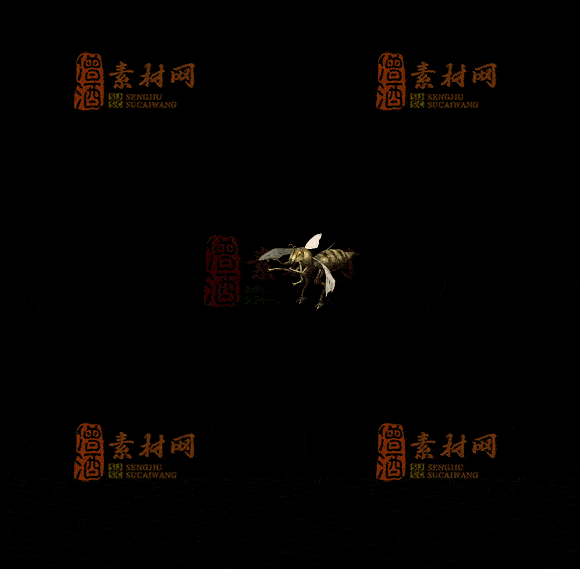 精品传奇一体时装系列素材20251007A：234-1